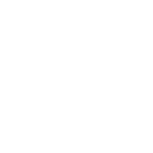 Butler City Skateboard Foundation Logo